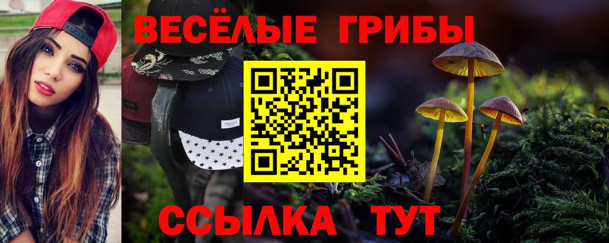Псилоцибиновые грибы прущие грибы  Вход с VPN  Рубцовск 